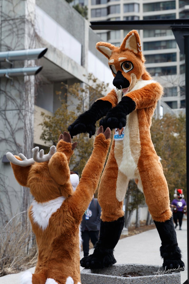 kellyfloof's tweet photo. silly-to-silly communication #fursuitfriday

🦌 @CynInle
📸 @AndromedusWolf https://t.co/w9GQLwQ89r