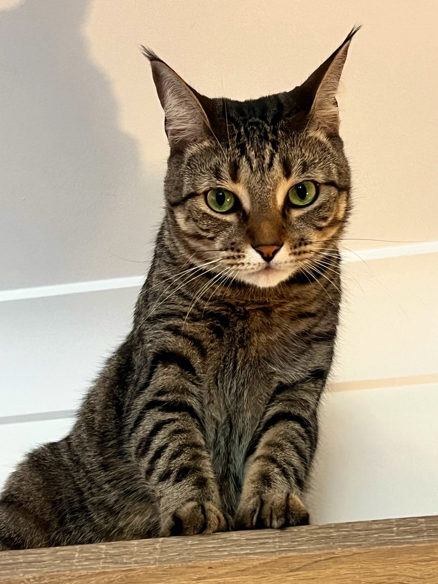 Dave Krantz tweet media