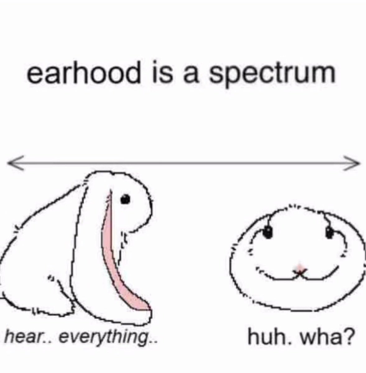 🫀🪷ENIGMA🪷🫀 tweet media