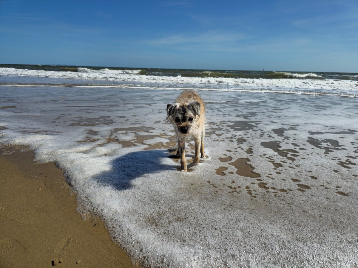 @TrudyTerrier OBE 👑 tweet media