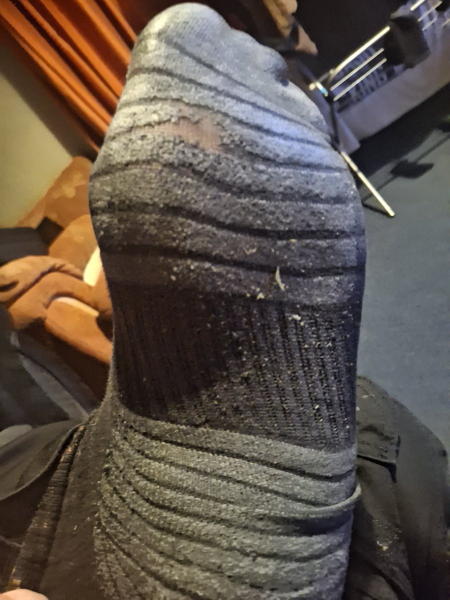 DiogailZangoose tweet media