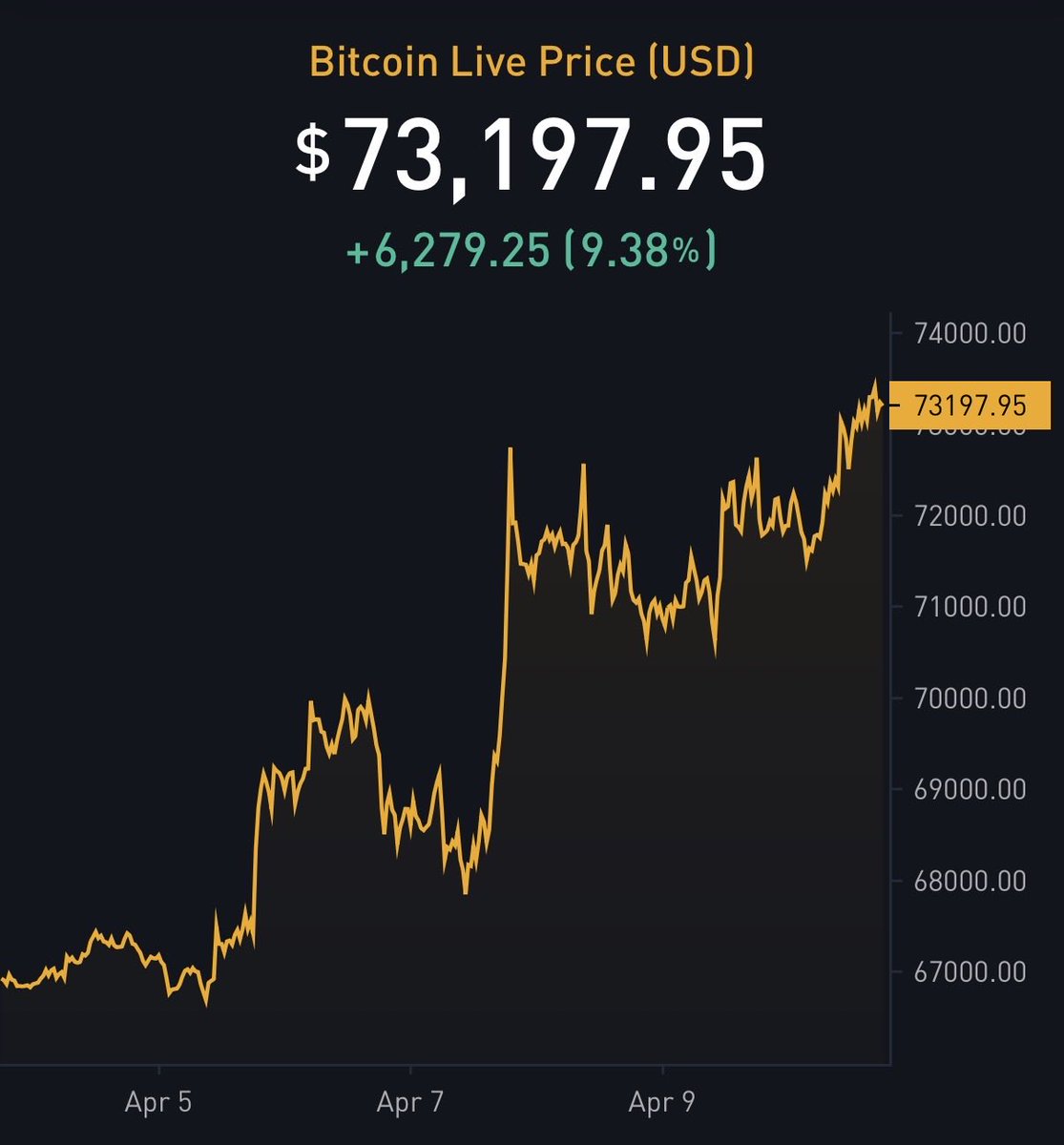 The ₿itcoin Therapist tweet media