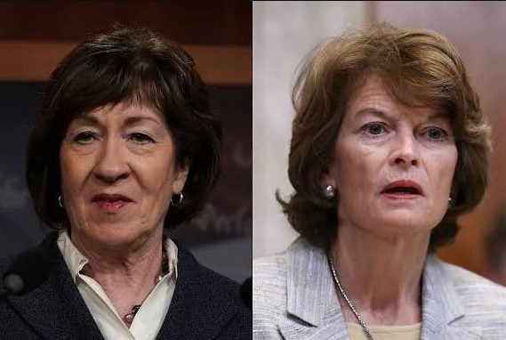 Eli Brooks tweet media