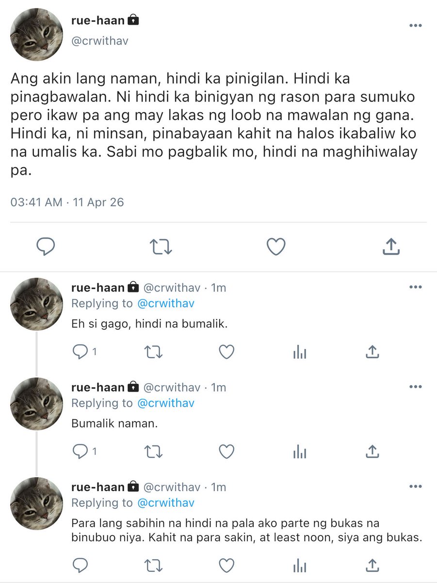 meg 🦈 tweet media