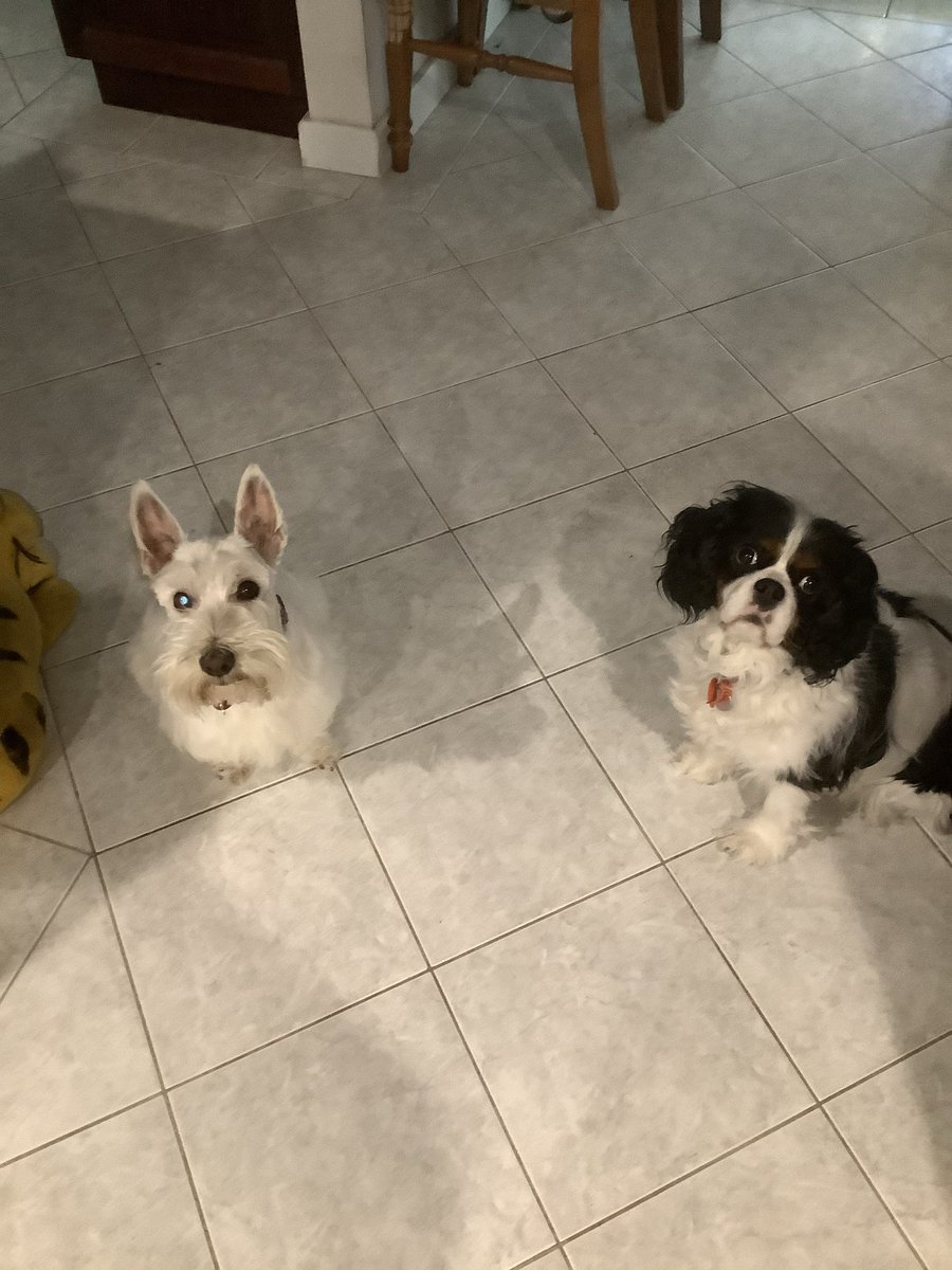 Maggie giver of hugs & goodwill. tweet media