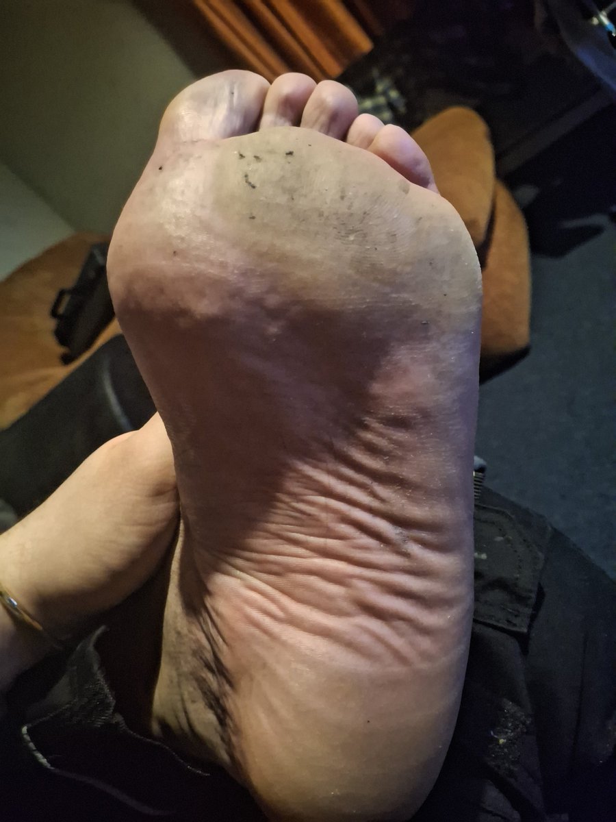 DiogailZangoose tweet media