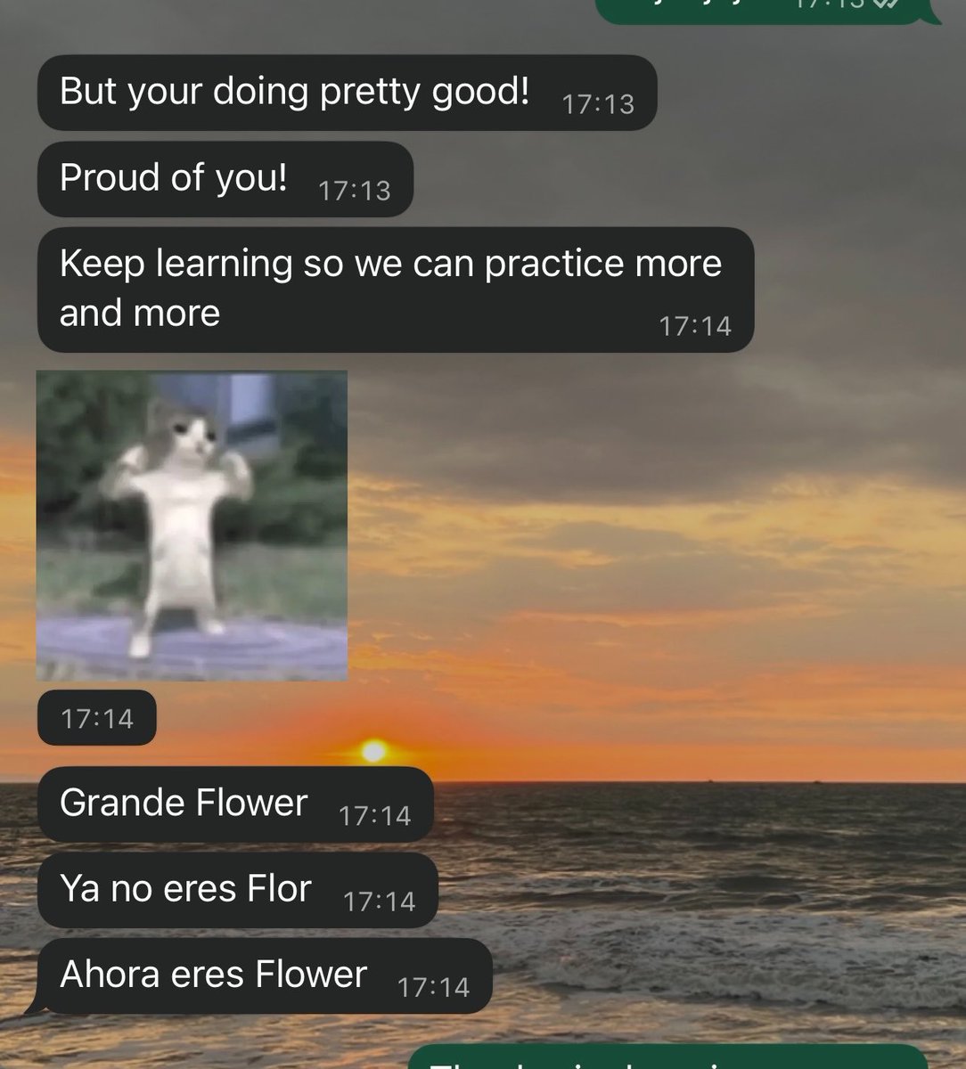 Flor🌸 tweet media