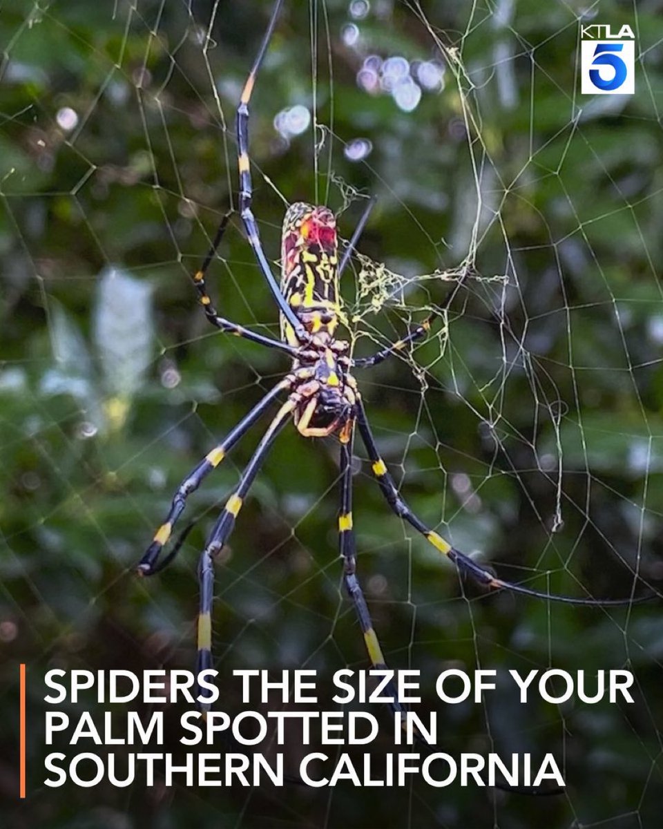 RyanPatrick🇺🇸🦅 tweet media