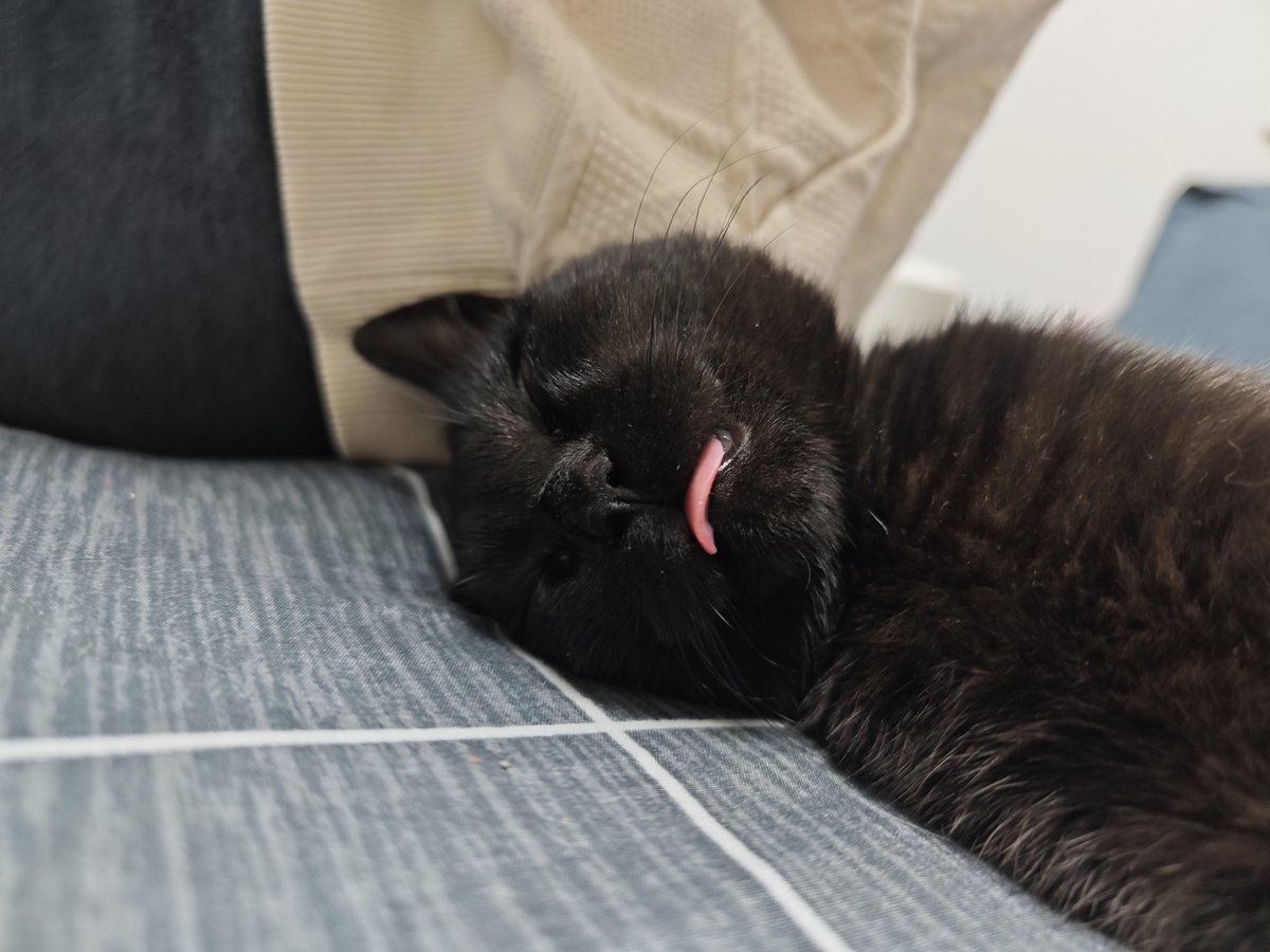 锅 (一口汇集了大英全部智慧的平底锅) tweet media