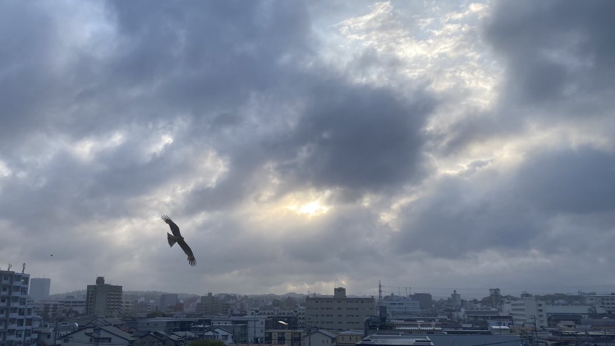 KOU-METAL🦊🤘次は5月京都橘🍊👿と聖飢魔II・新潟👿 tweet media