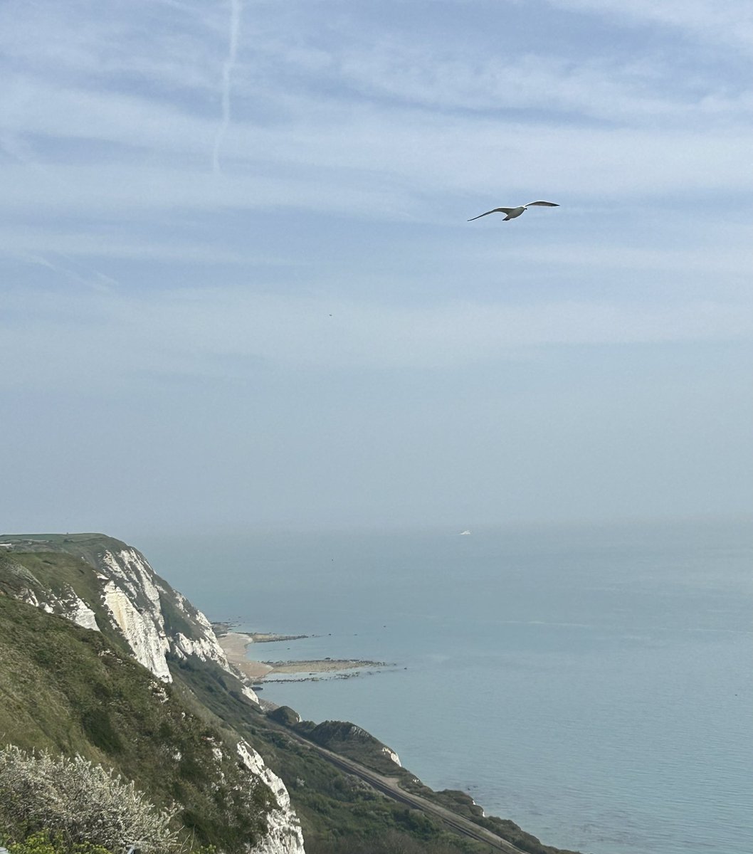 hello hyphyy tweet media