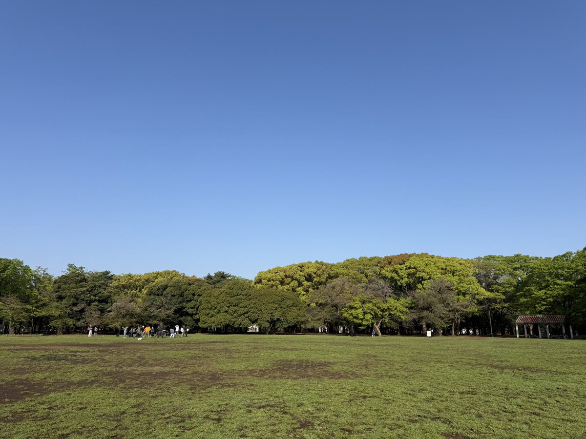 おはようございます