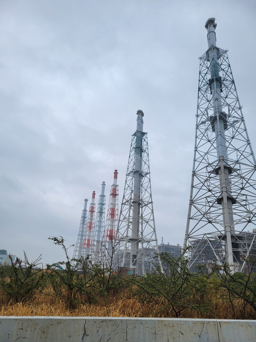 S.Kめだか　糸魚川 tweet media