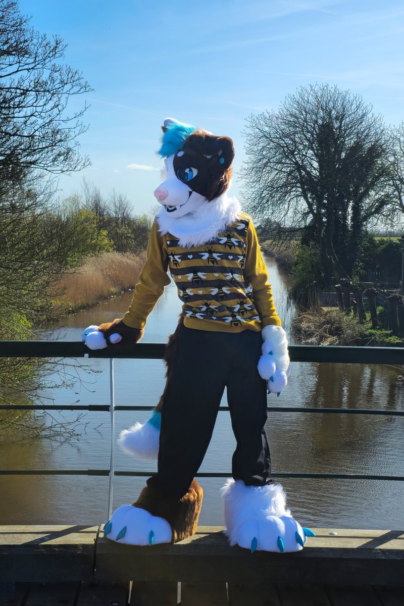 Happy #fursuitfriday!
More pictures from last week 🐝