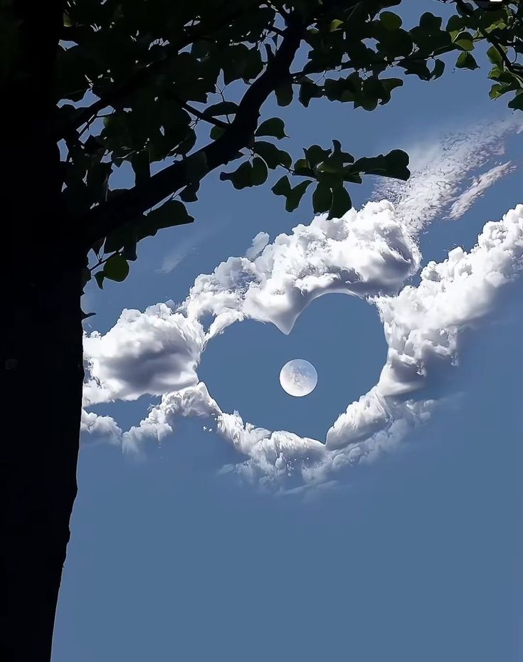 ĤÃMĒĎ tweet media