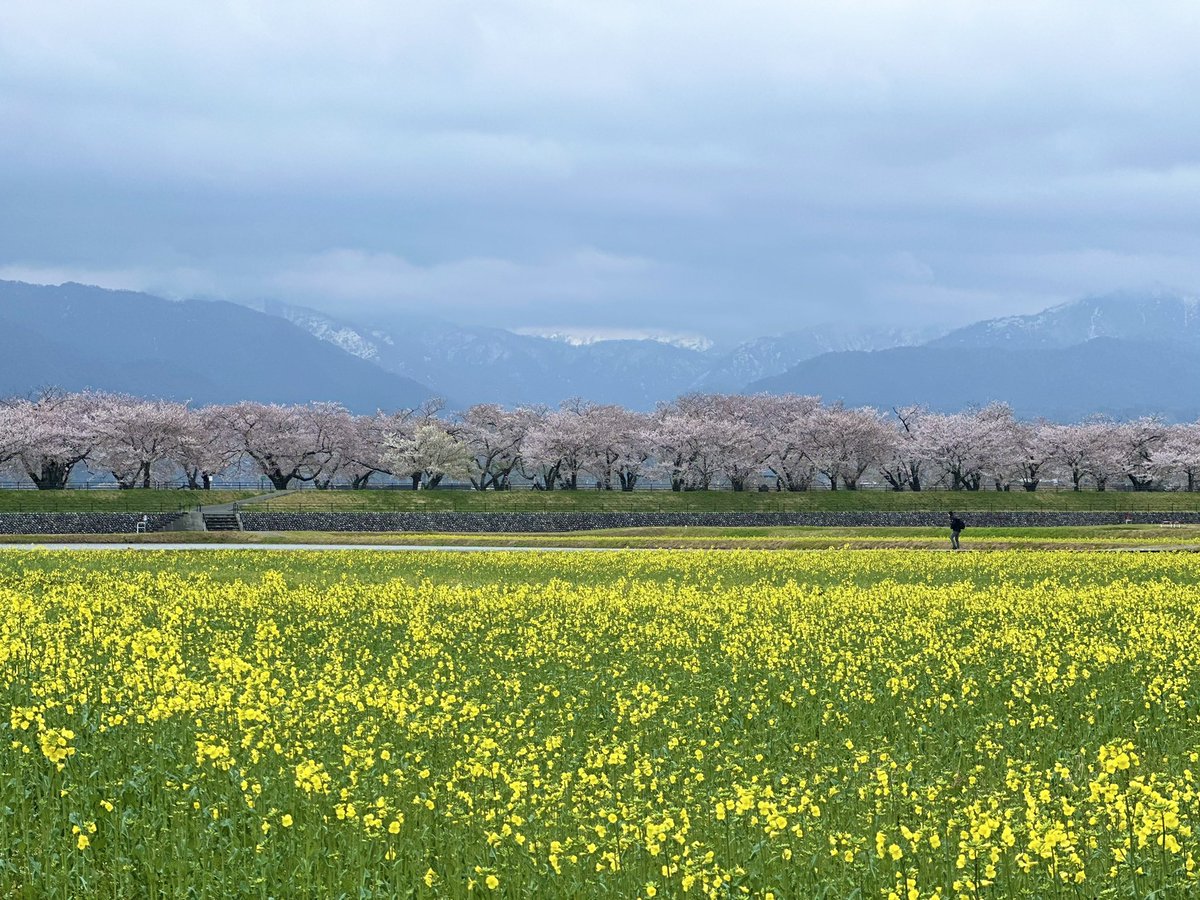 なつめ tweet media