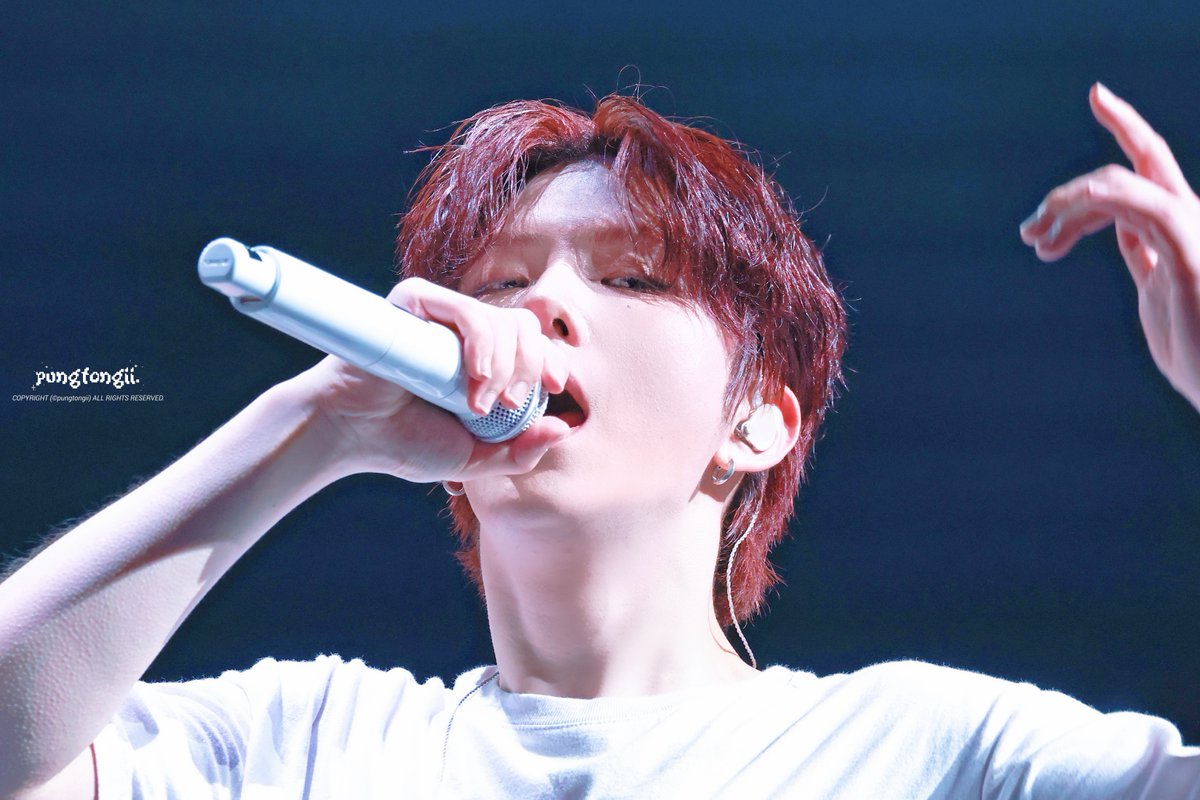 풍통이 tweet media