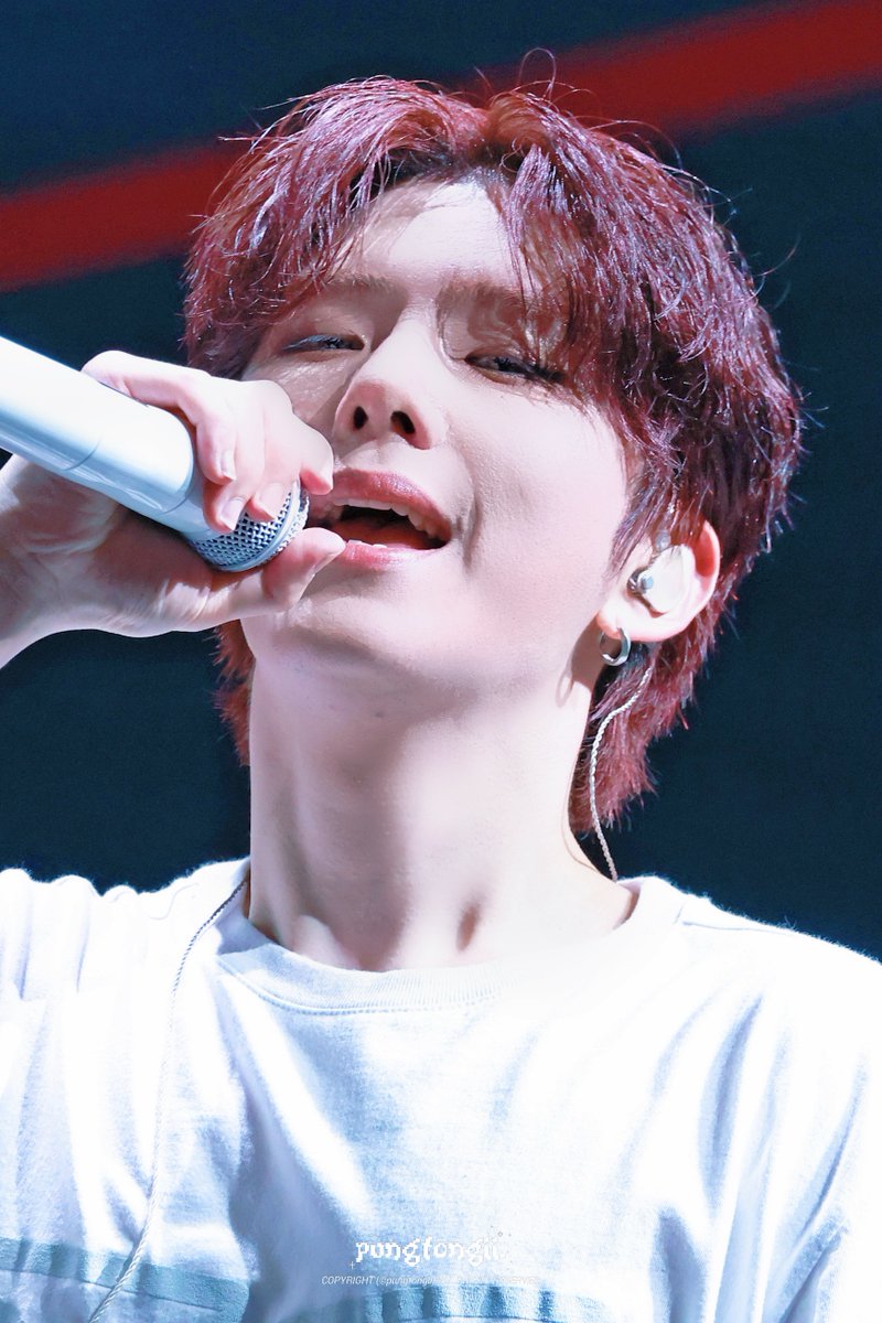 풍통이 tweet media