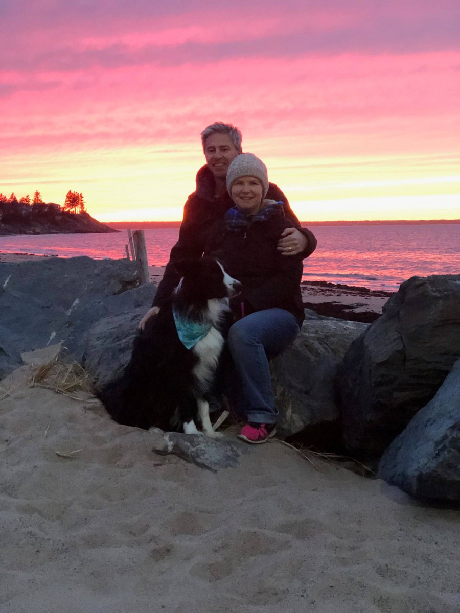 Tim Houston tweet media