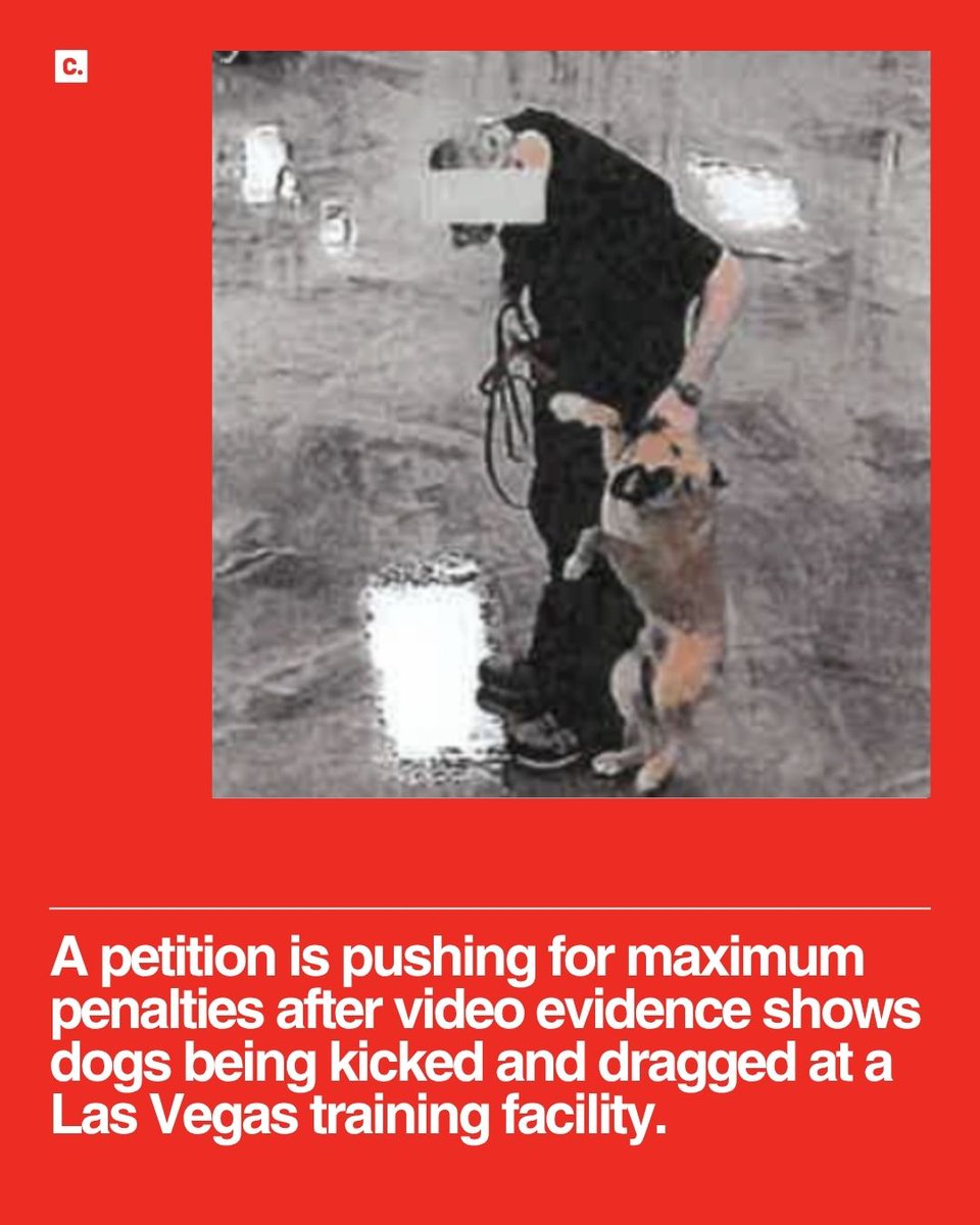 Las Vegas pet owners trusted a local dog training facility — until a former employee came forward in early March with cellphone videos and reports of alleged abuse. Video evidence appears to show dogs being kicked and dragged, backing away in fear.

On April 1, police executed a