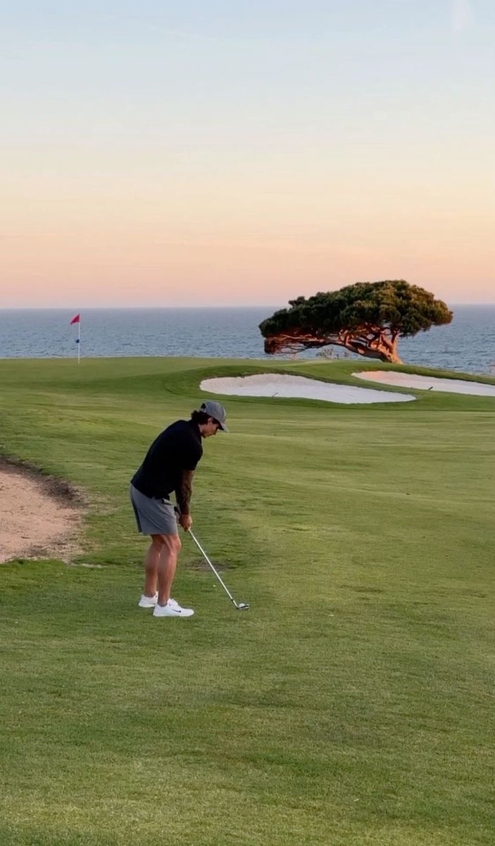 Vincent 🇻🇦 tweet media