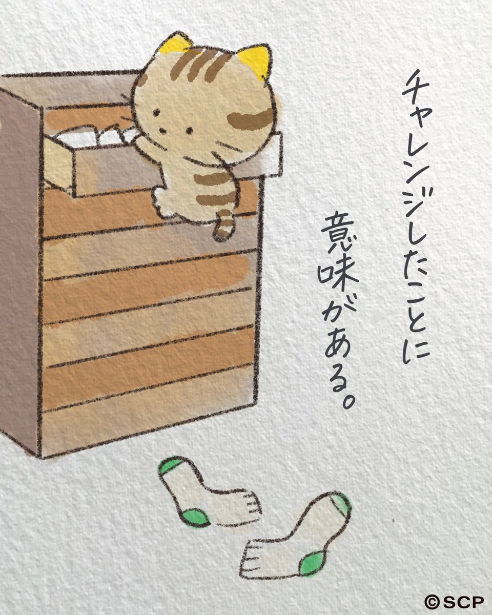 三丁目のタマ町内会 tweet media