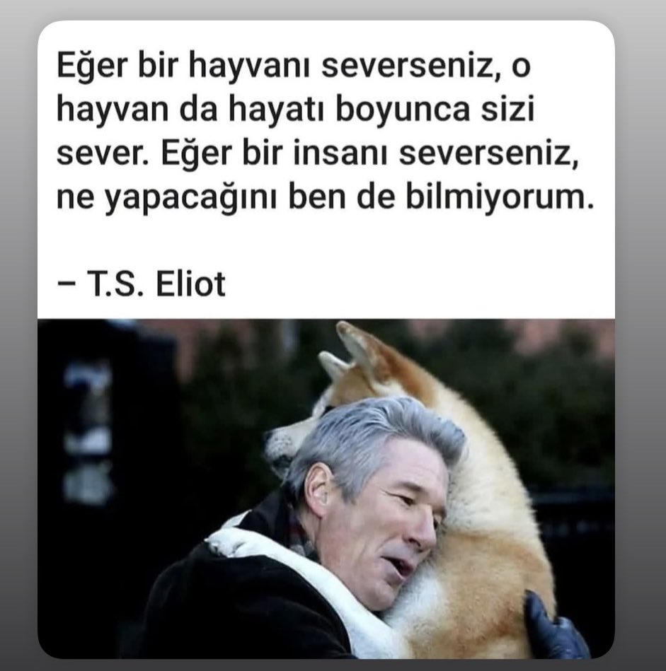 35Belmanaydogan's tweet photo. #SokakHayvanlarıSahipsizDeğil 🙏🐾 https://t.co/67W1C53CEM
