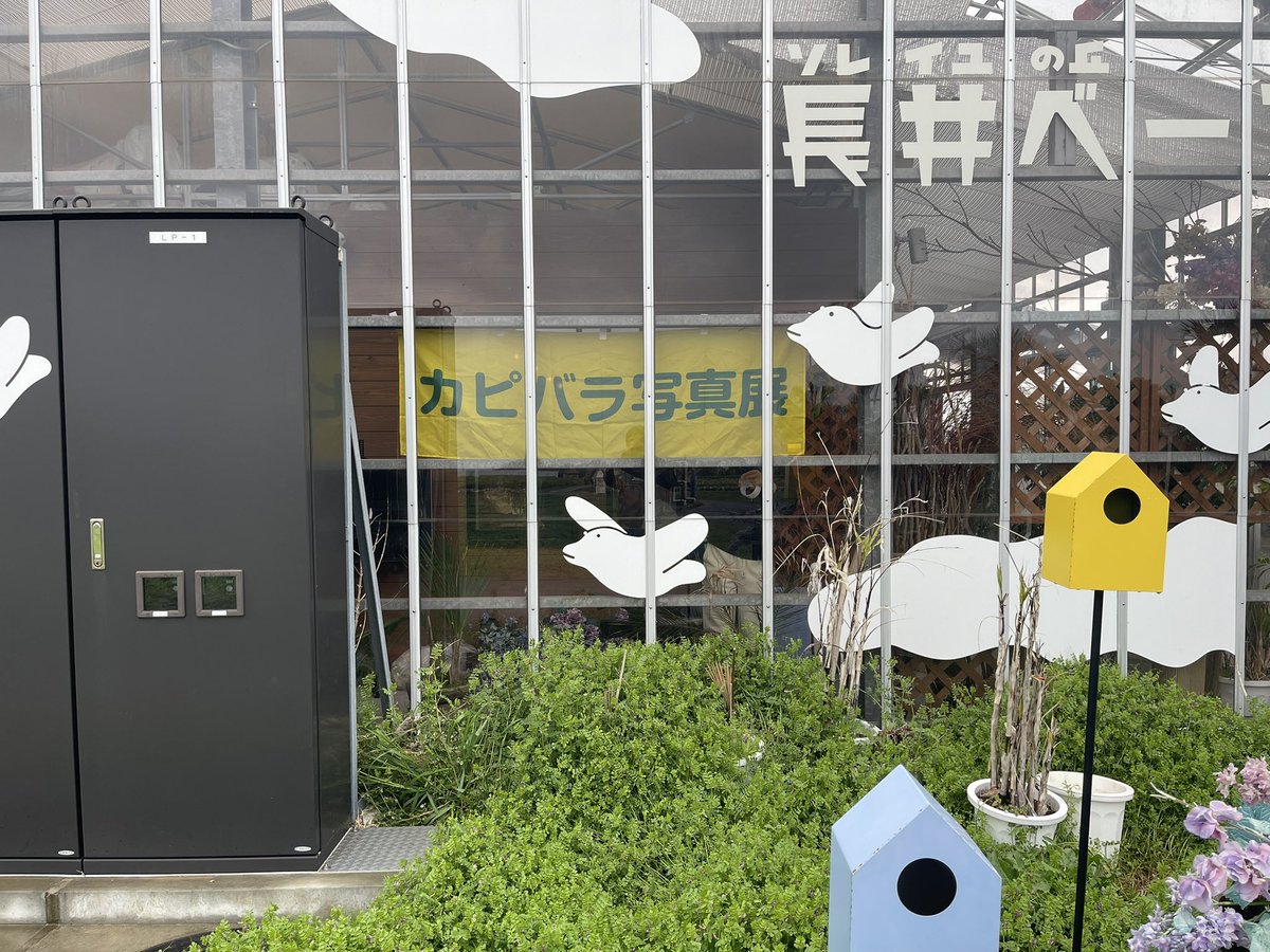 柿崎俊道@聖地会議 tweet media