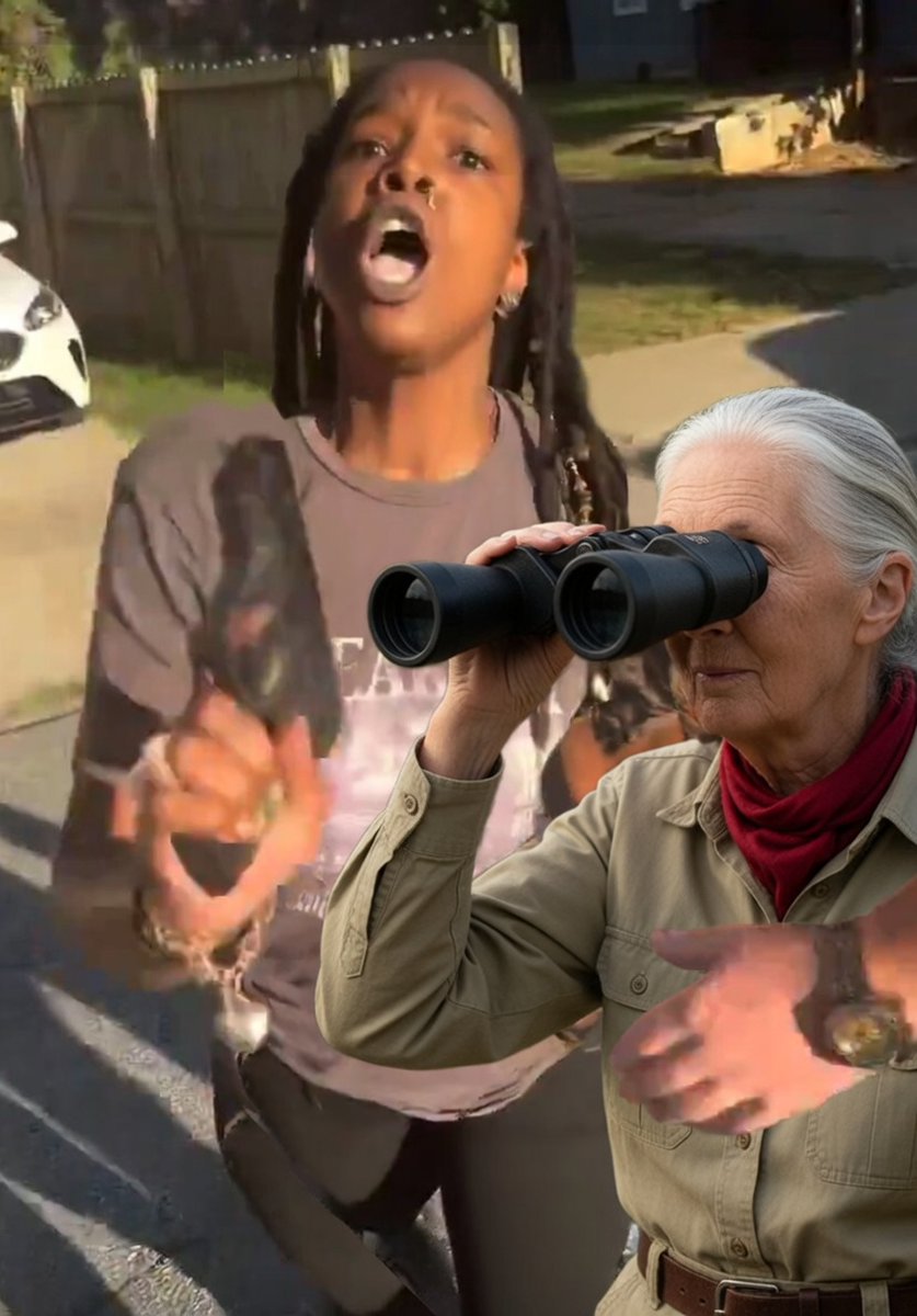 IntensityStream tweet media