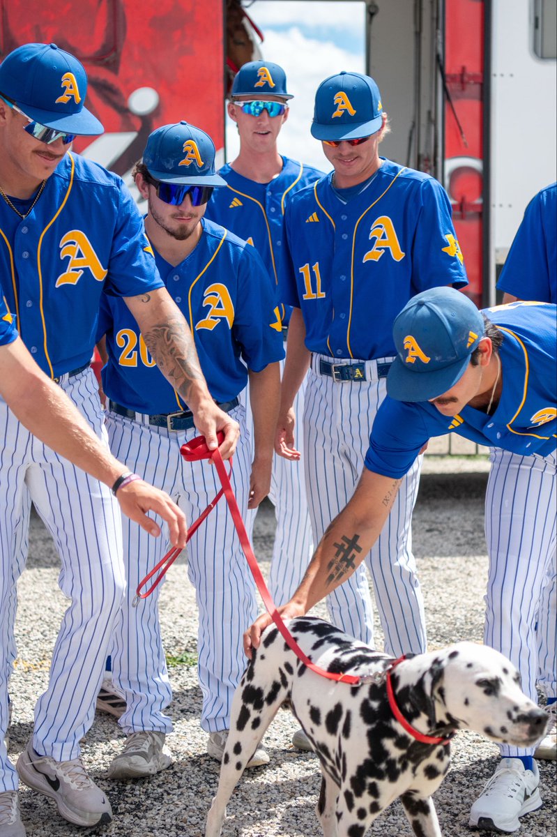 Angelo State Rams Baseball tweet media