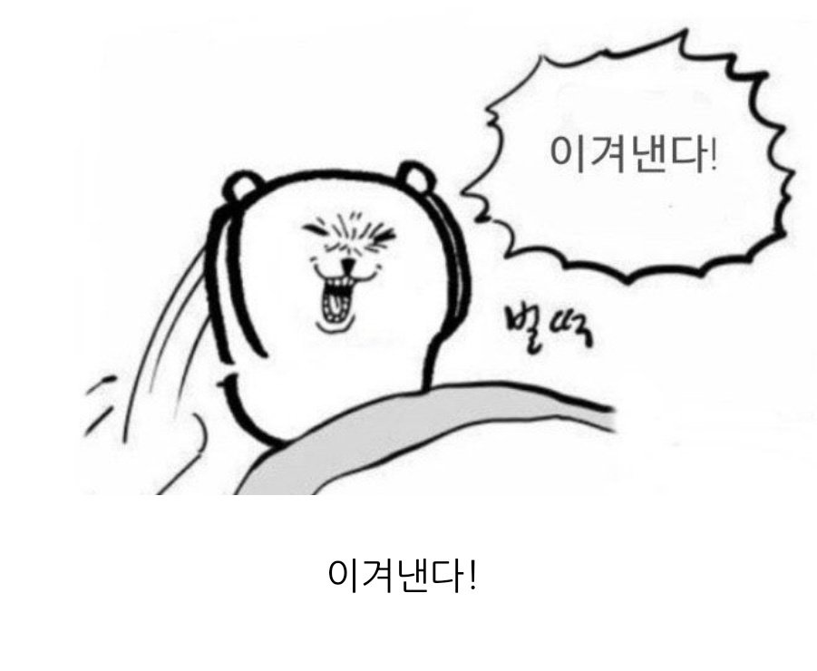 자흔 tweet media