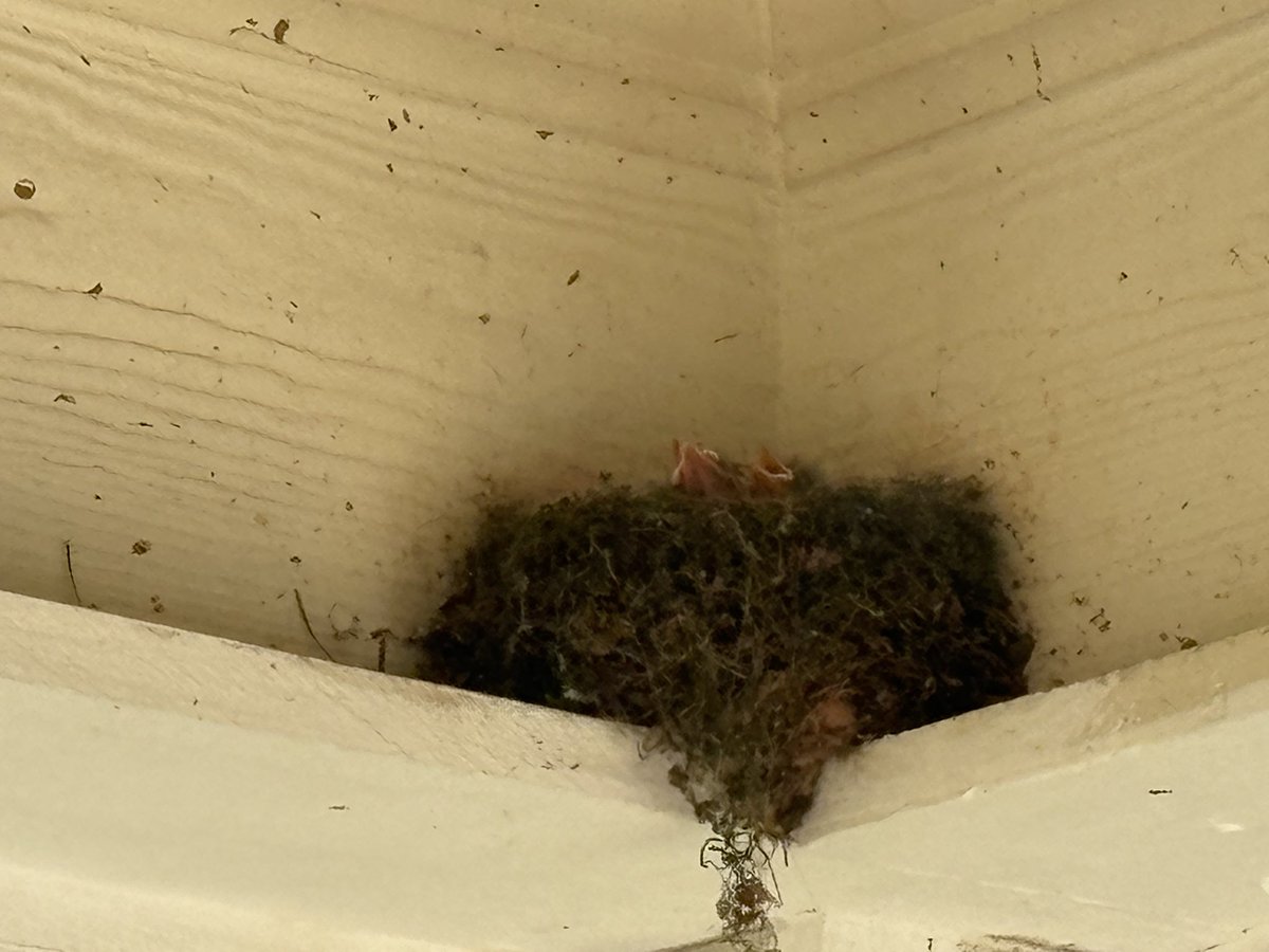 Dr. Ava Williams tweet media