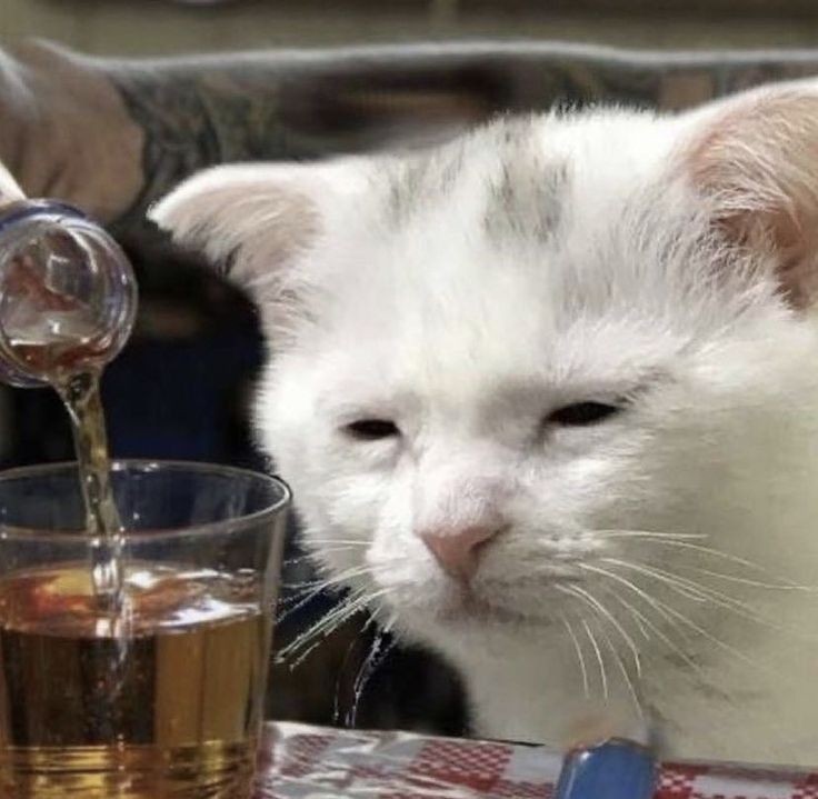 MiLex_Legion's tweet image. Guys... I'm so sad... 🥲🫠 I miss my streamer😭✨