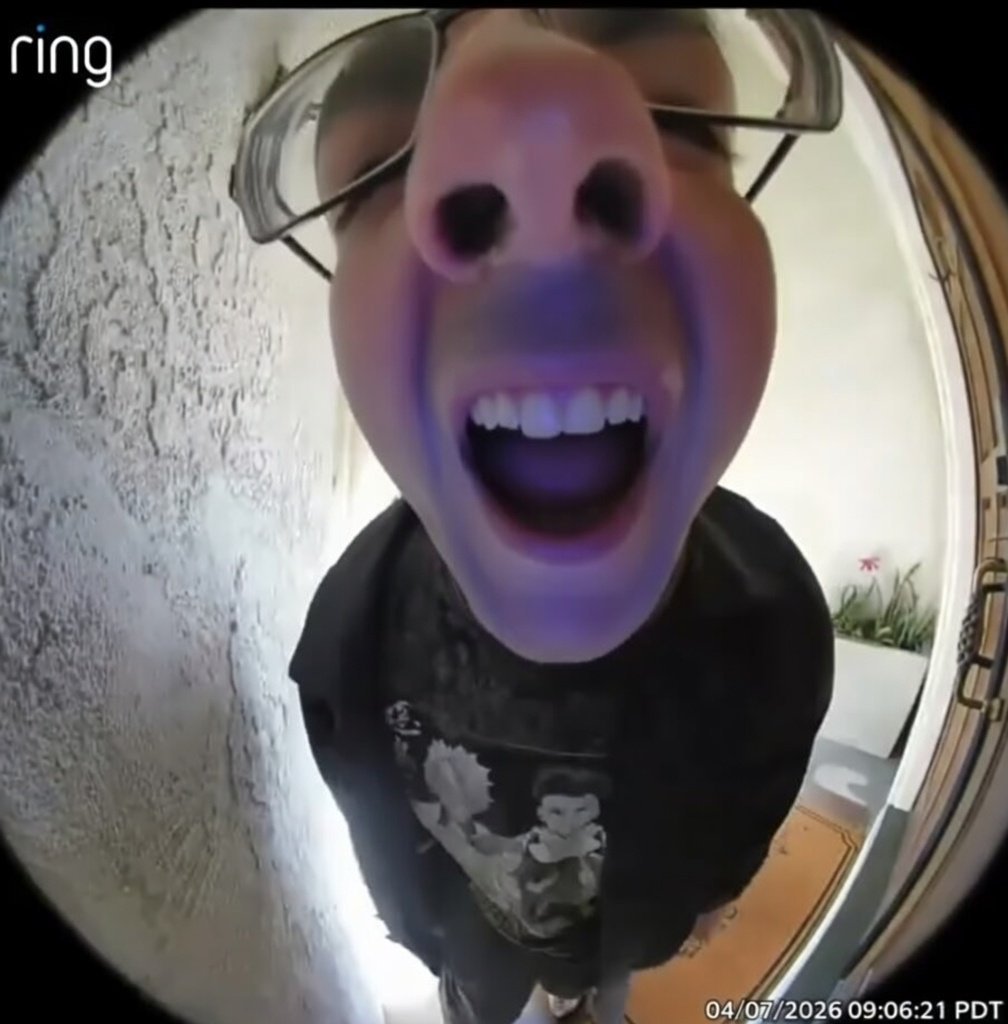 J.T. Alexander tweet media