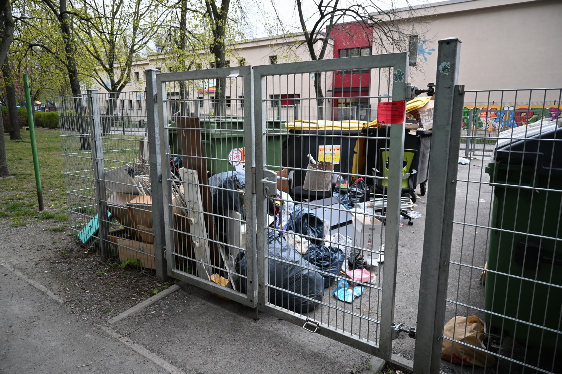 LuisenstadtFoto tweet media