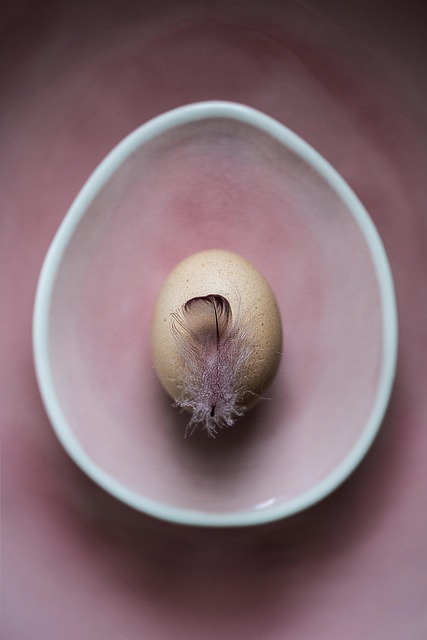 Timothy Magnus tweet media