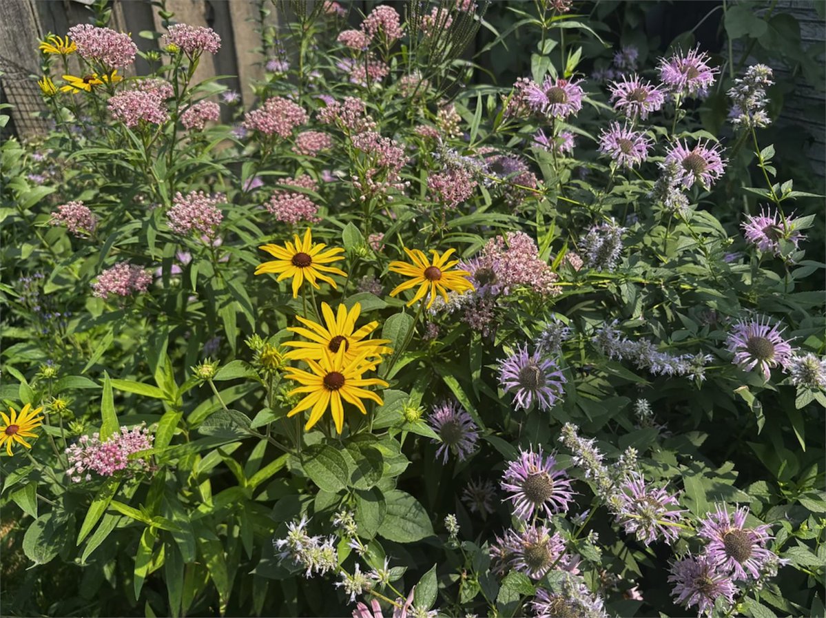 Northwestern tweet media