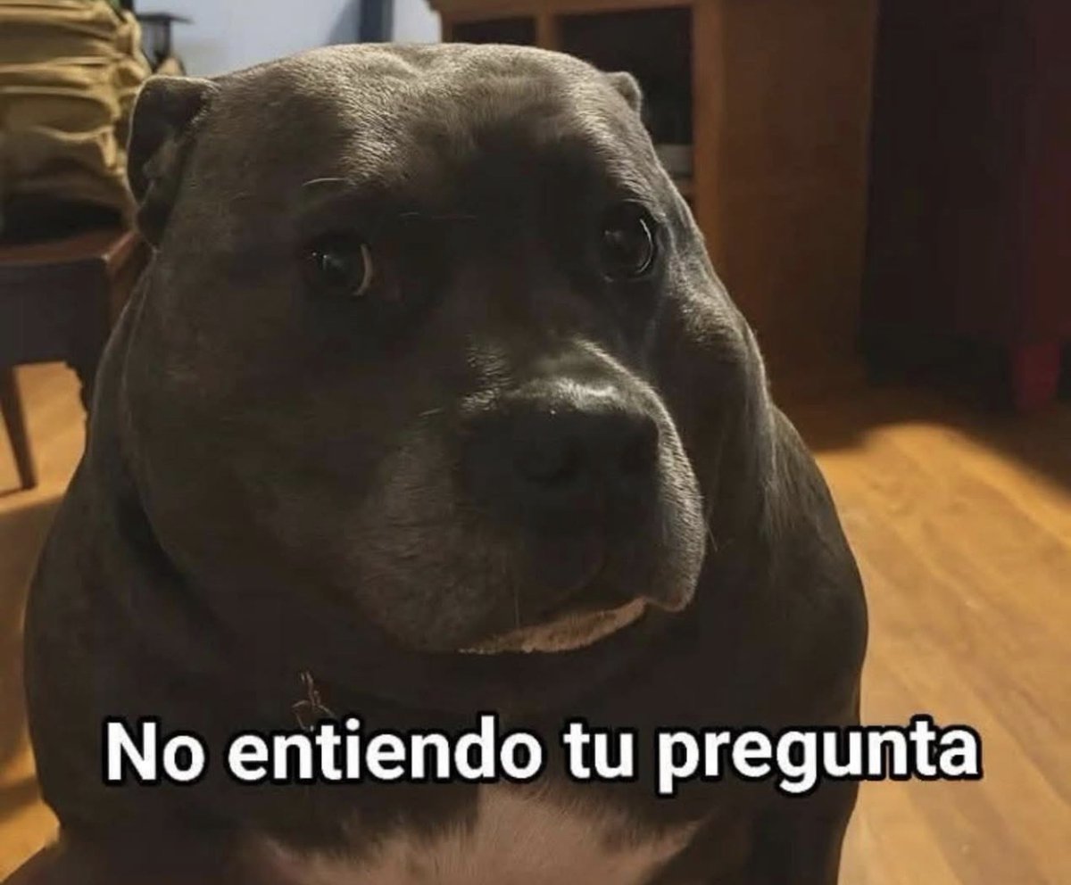 El Guarromántico tweet media