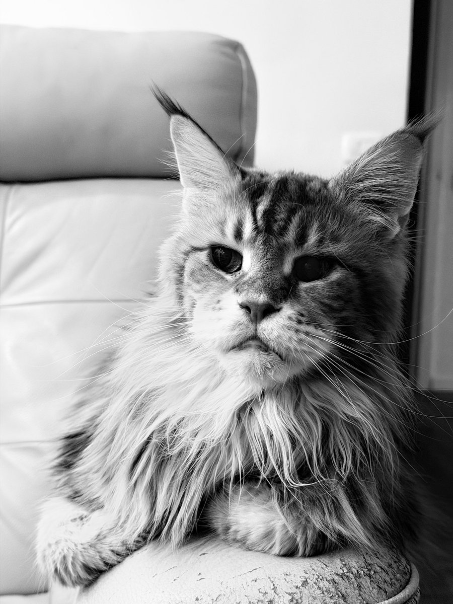 Una Bejtovic tweet media