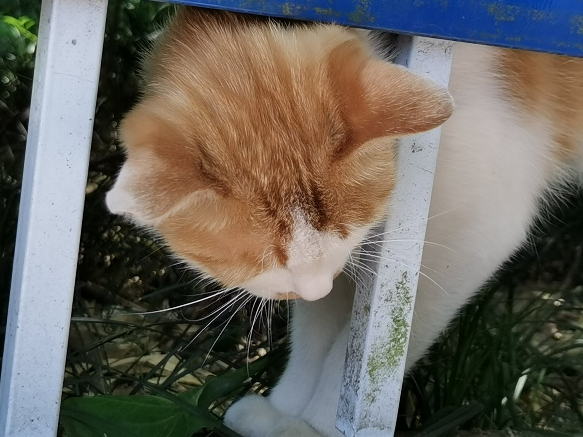 stephen keith tweet media