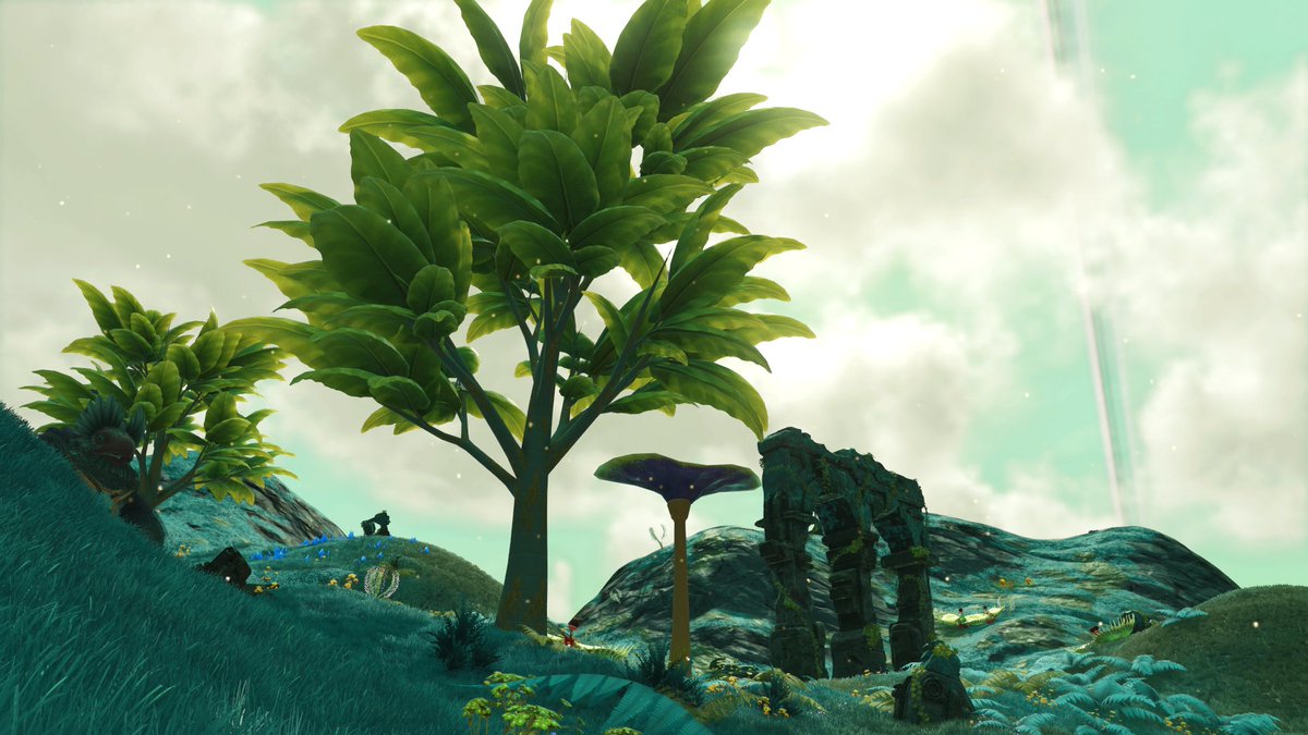 MajorVex tweet media