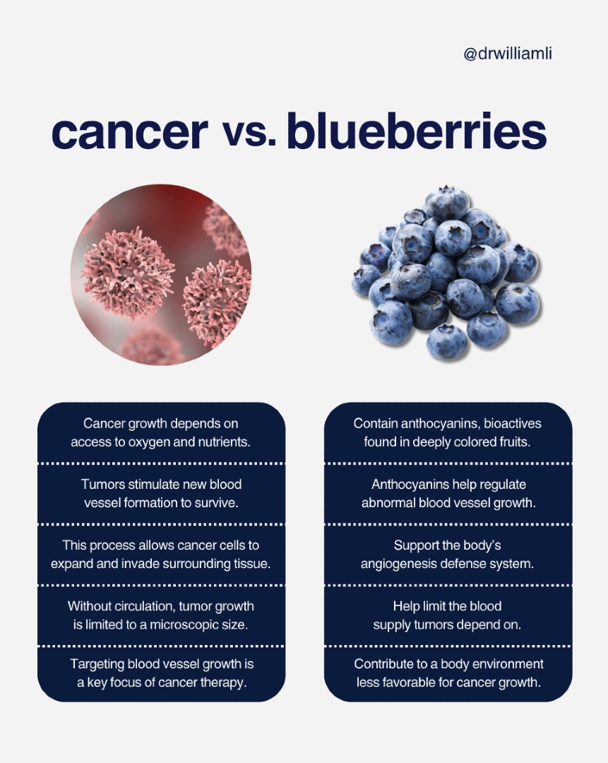 drwilliamli's tweet image. 🫐 What do blueberries have to do with cancer?

More than you think.

Rich in antioxidants, they help protect your cells from damage linked to cancer development. It’s not about one food. It’s what you eat consistently.

#CancerPrevention #Blueberries #Antioxidants