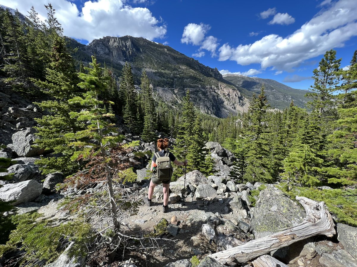 Scarlett Vervain tweet media