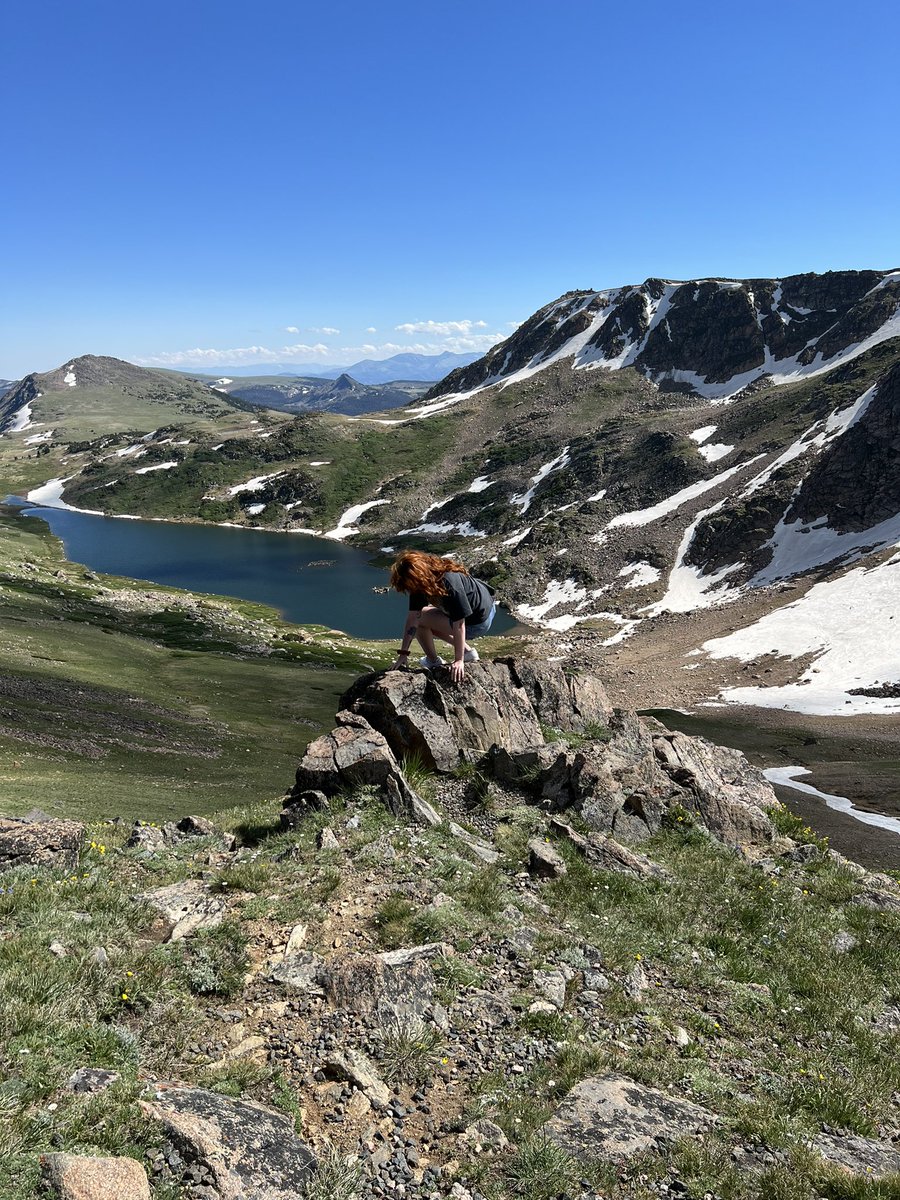 Scarlett Vervain tweet media