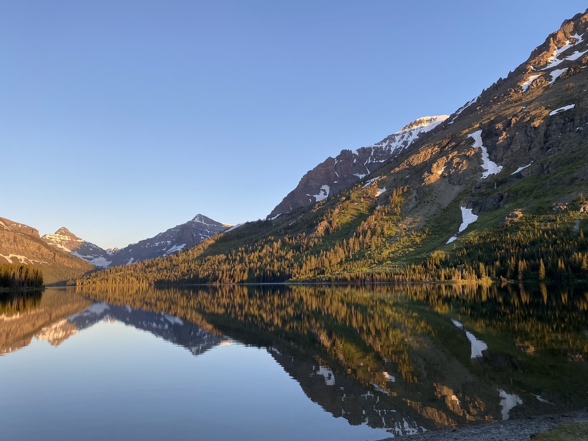 Scarlett Vervain tweet media