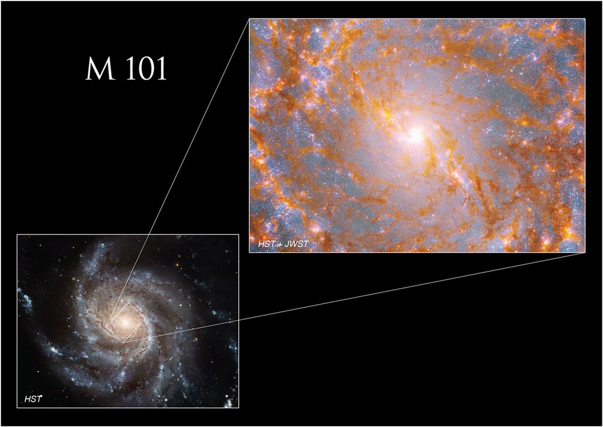 Juan Miguel tweet media