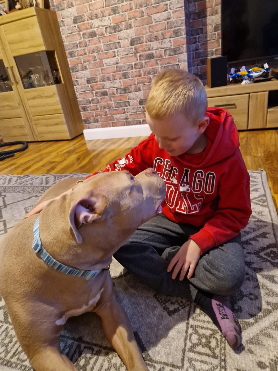 Help2Rehome Scotland tweet media