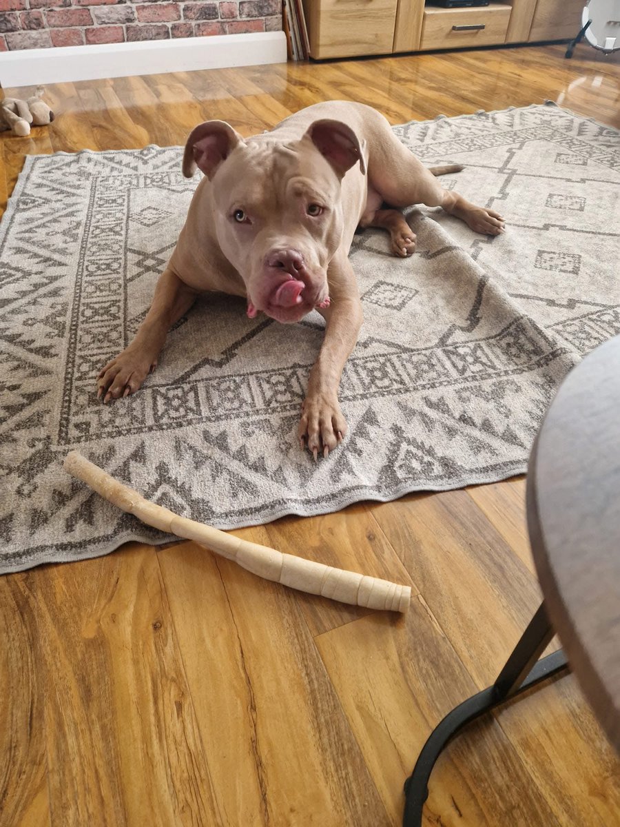 Help2Rehome Scotland tweet media