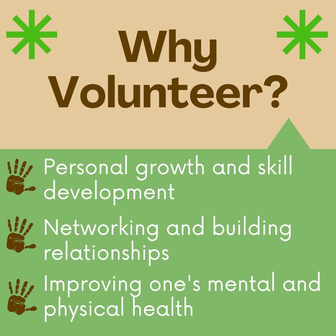 NortheastSpringboard tweet media