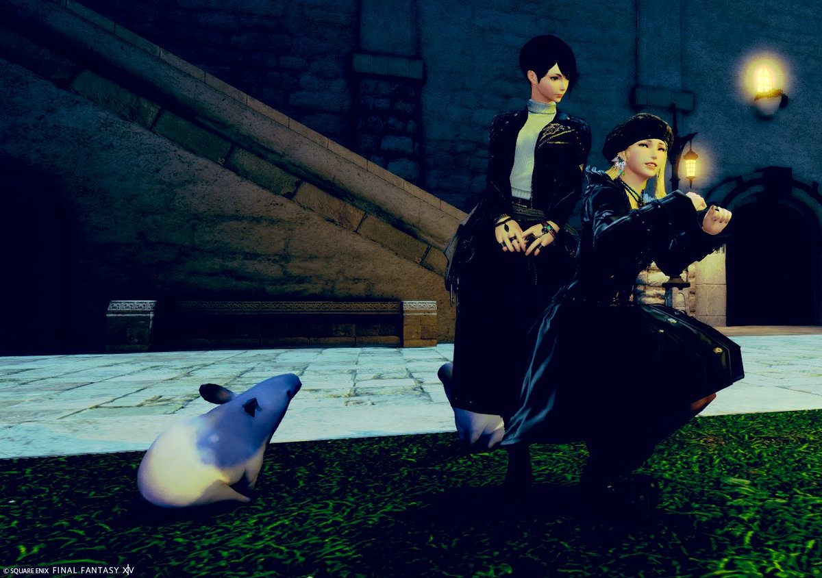 れび🎀FF14 anima tweet media